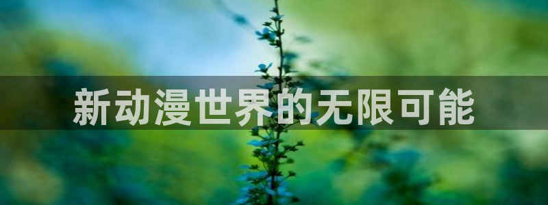 动漫热门推荐