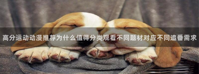 热门动漫网站