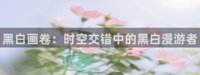 日本动漫大全