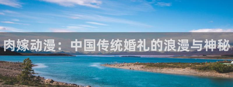 动漫动态