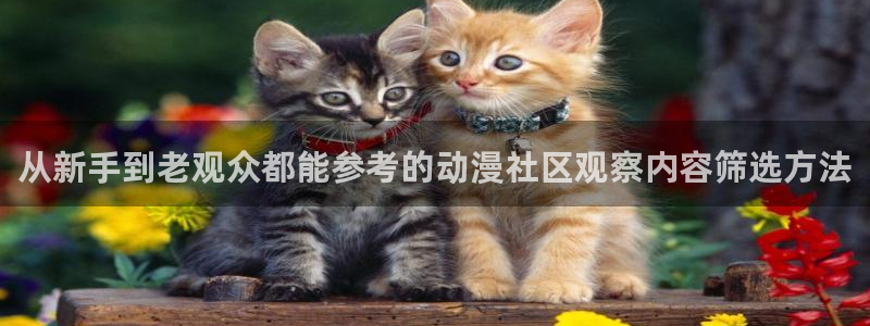 竞技动漫推荐
