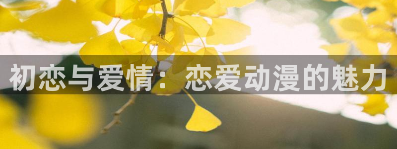 最新动漫网站