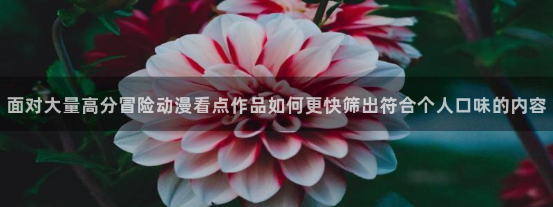 动漫网首页