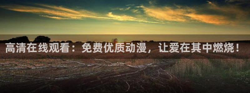 动漫简介
