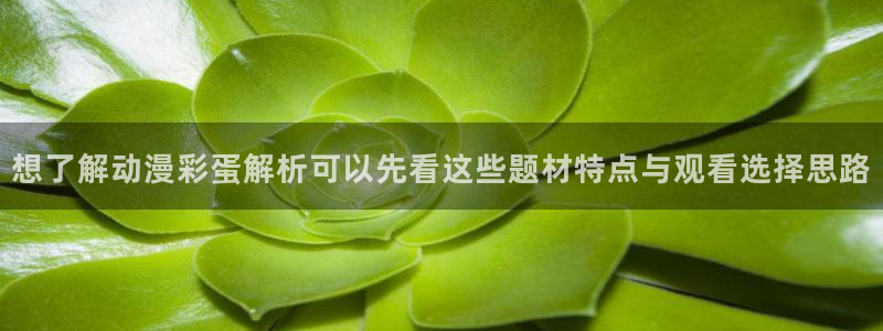 动漫更新资讯