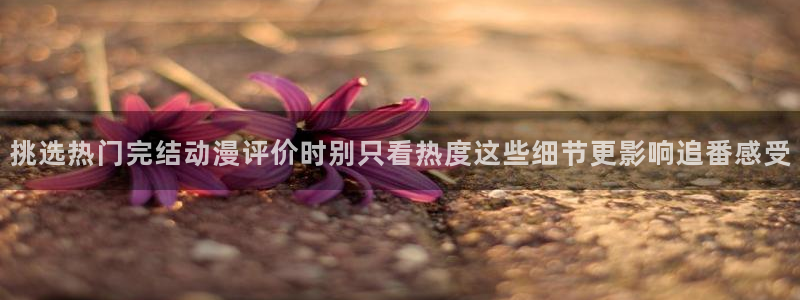 动漫网入口