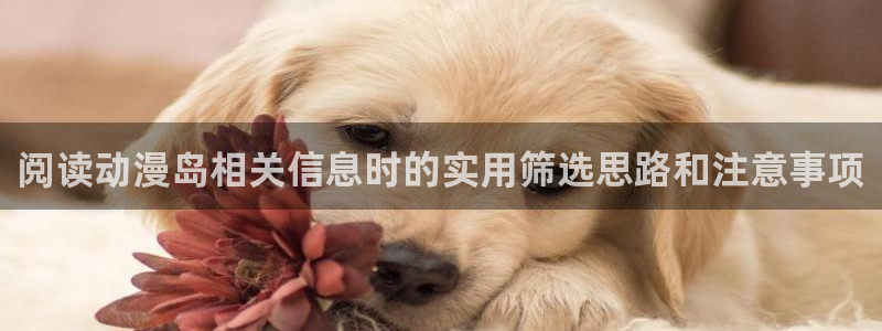 新番动漫大全