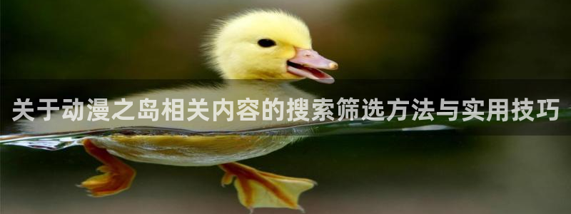 机战动漫