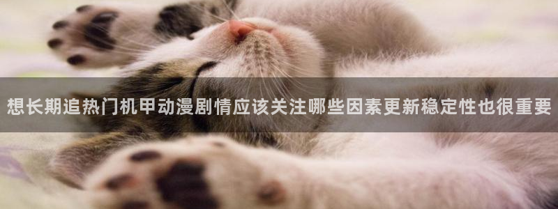 动漫评分榜