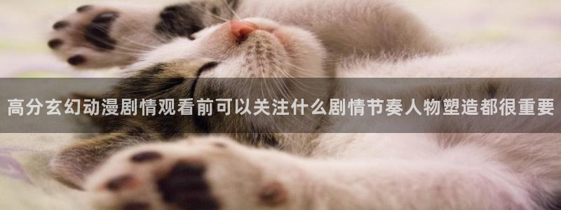 动漫内容导航