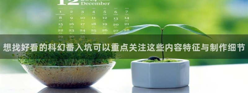 动漫排行