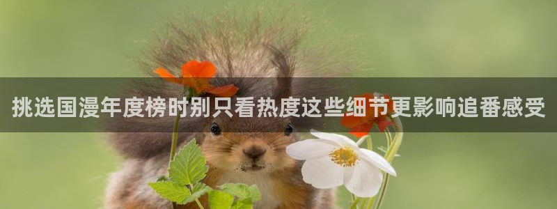 竞技动漫:挑选国漫年度榜时别只看热度这些细节更影响追番感受
