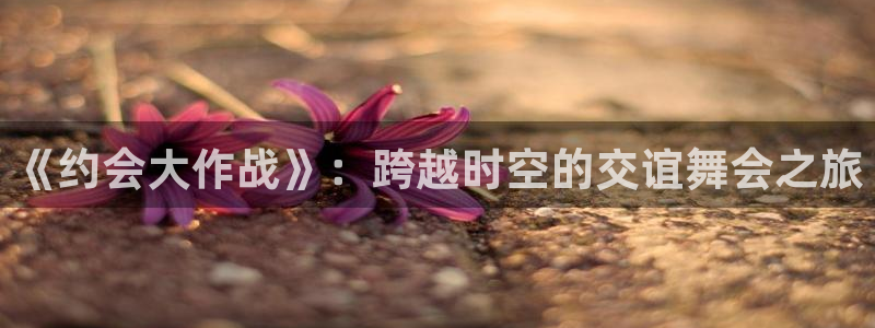 每日新番