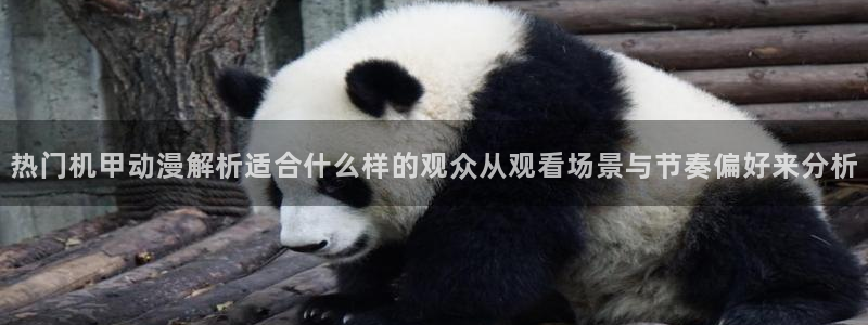 最新动漫排行榜